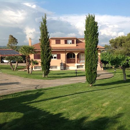 Bed & Breakfast La Volpe E L'Uva Santa Marinella Bagian luar foto