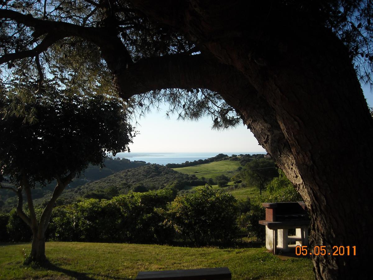Bed & Breakfast La Volpe E L'Uva Santa Marinella Bagian luar foto