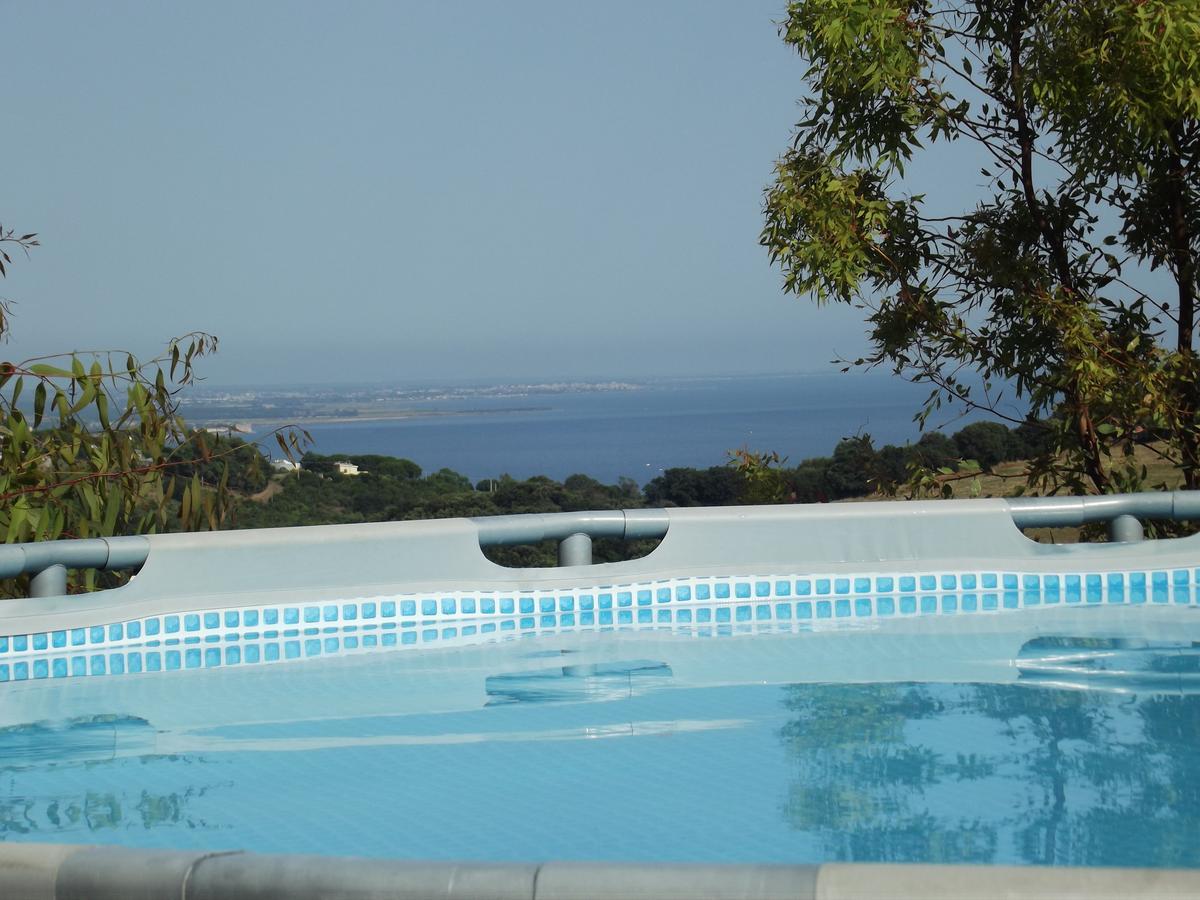 Bed & Breakfast La Volpe E L'Uva Santa Marinella Bagian luar foto